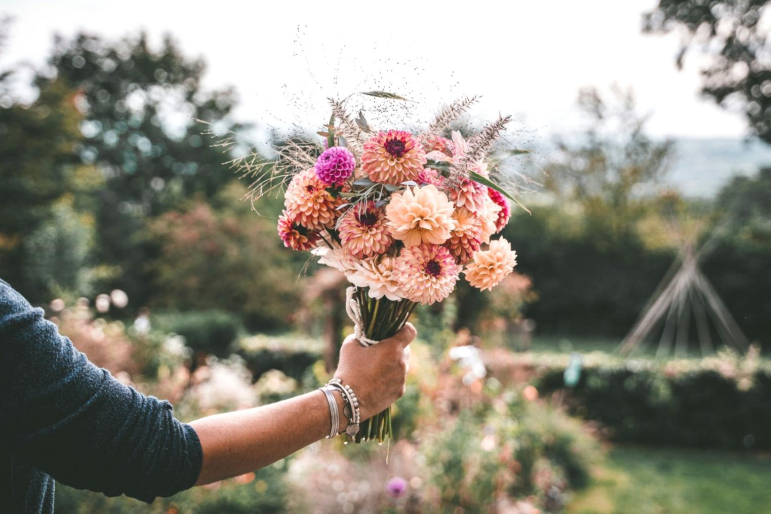 Sustainable floristry workshop with vibrant plants