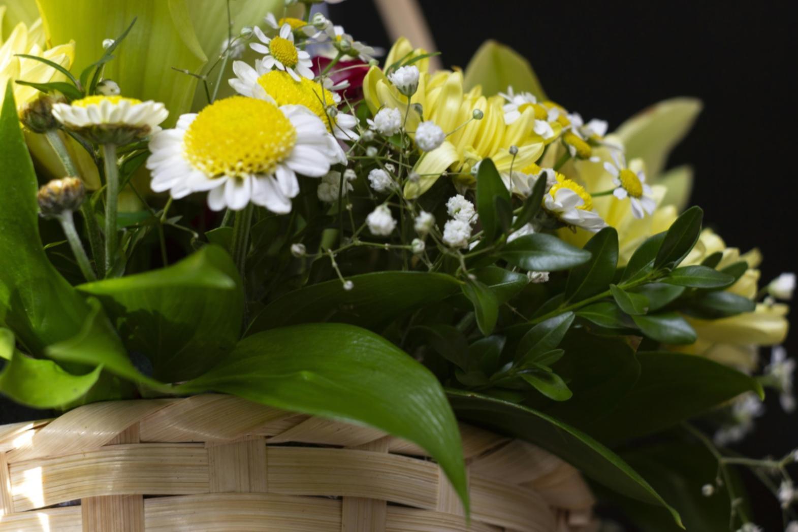 A workshop setting where sustainable floristry techniques are being taught